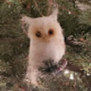 Meet your Posher, Oksana